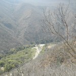 the road to Tehauntepec