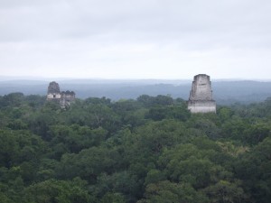 Ruins coming out of the canopy at Tikal