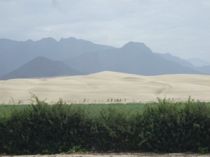 Peruvian desert Sandwich: Sky, mountains, sand dunes, cultivated land, and wind-breaking shrubs