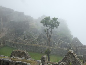 Foggy Ruins