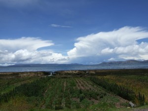 Coast, cultivation, and clouds